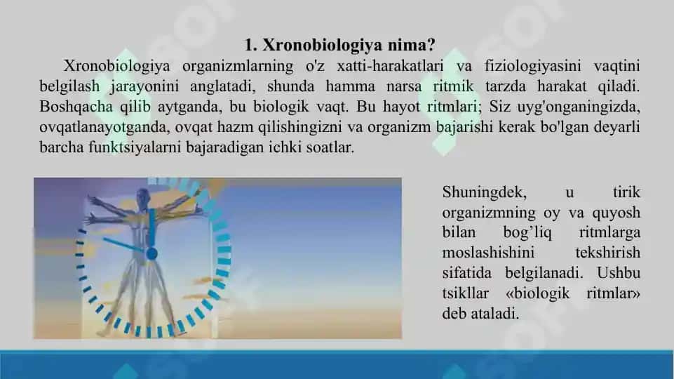 19. Xronobiologiya. Bioritmlarning moslashuvchanligi. Taqdimot 10 bet. 3