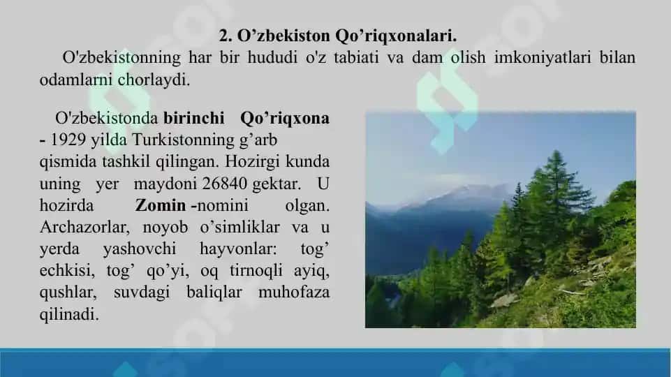 28. Qo’riqxonalar maqsadi va mohiyati. Taqdimot 11 bet. 4