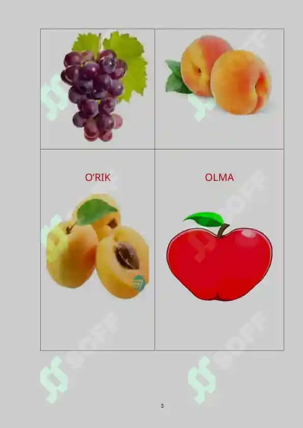 Biologiya ochiq dars 3