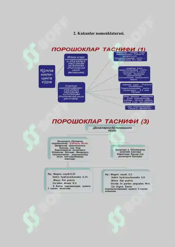 2. Kukunlar nomenklaturasi va tarkiblari. Referat 7 bet. 3