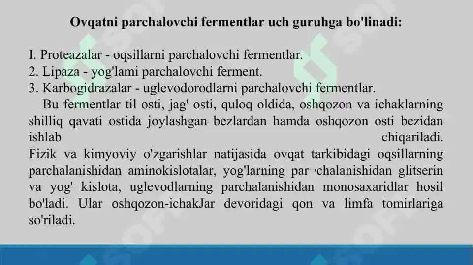 5. Pavlovning hazm sohasidagi ishlari. Taqdimot, 12 bet 3