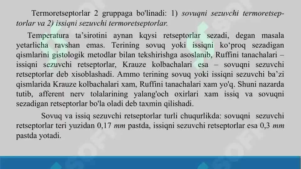 13. Taktil va harorat retseptorlari. Taqdimot, 12 bet 3