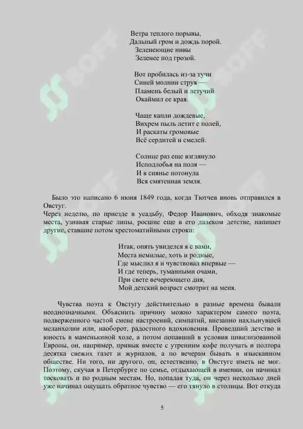 Поэзия Ф.И.Тютчева 5