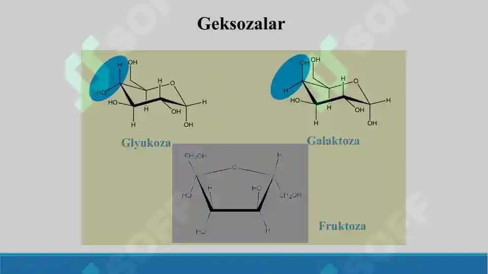 Monosaxaridlarning olinish usullari. Taqdimot 18 bet 8