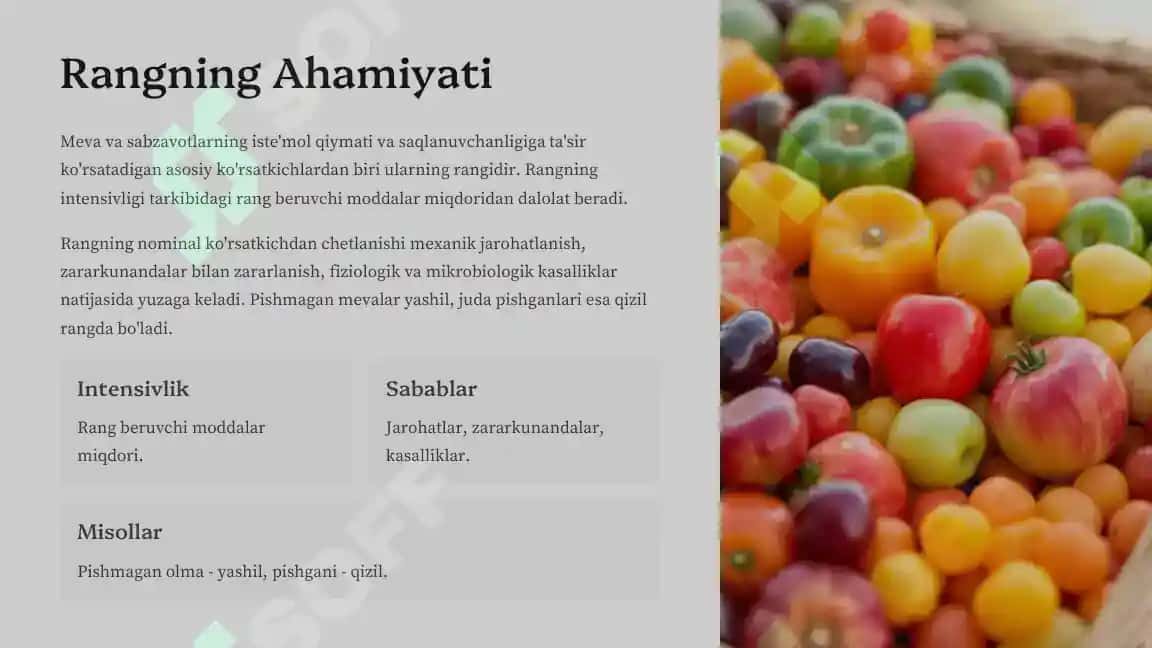 Sabzavot va mevalar mahsulotlarini ekspertizasi 4