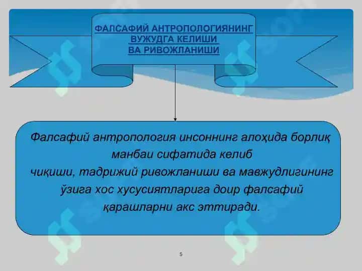 фалсафий антропология инсон ҳақидаги таълимот фалсафаси. 5