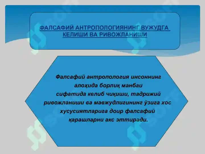 фалсафий антропология инсон ҳақидаги таълимот фалсафаси. 6