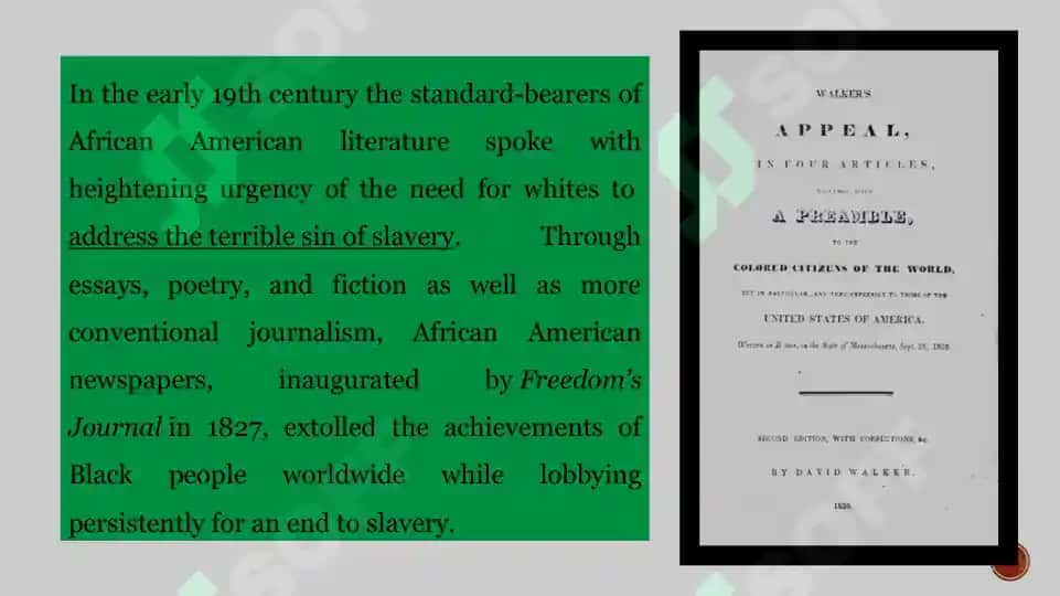 Afro-American writers of the 20th century 2