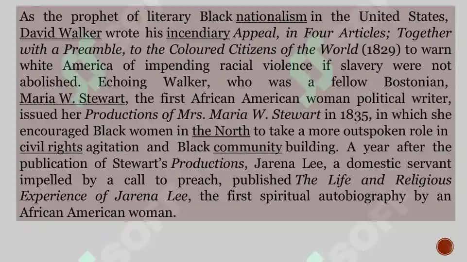 Afro-American writers of the 20th century 4