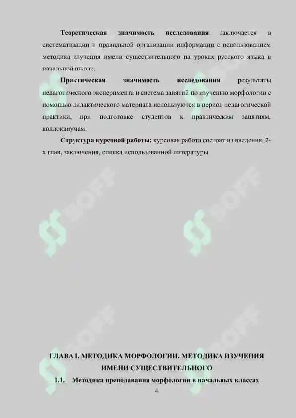 Методика морфологии. Методика изучения имени существительного 4