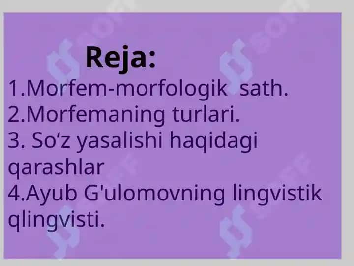 Morfem-morfologik sath 2