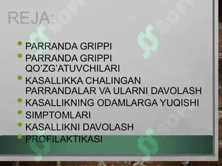 Parranda va Cho'chqa grip grippi 2