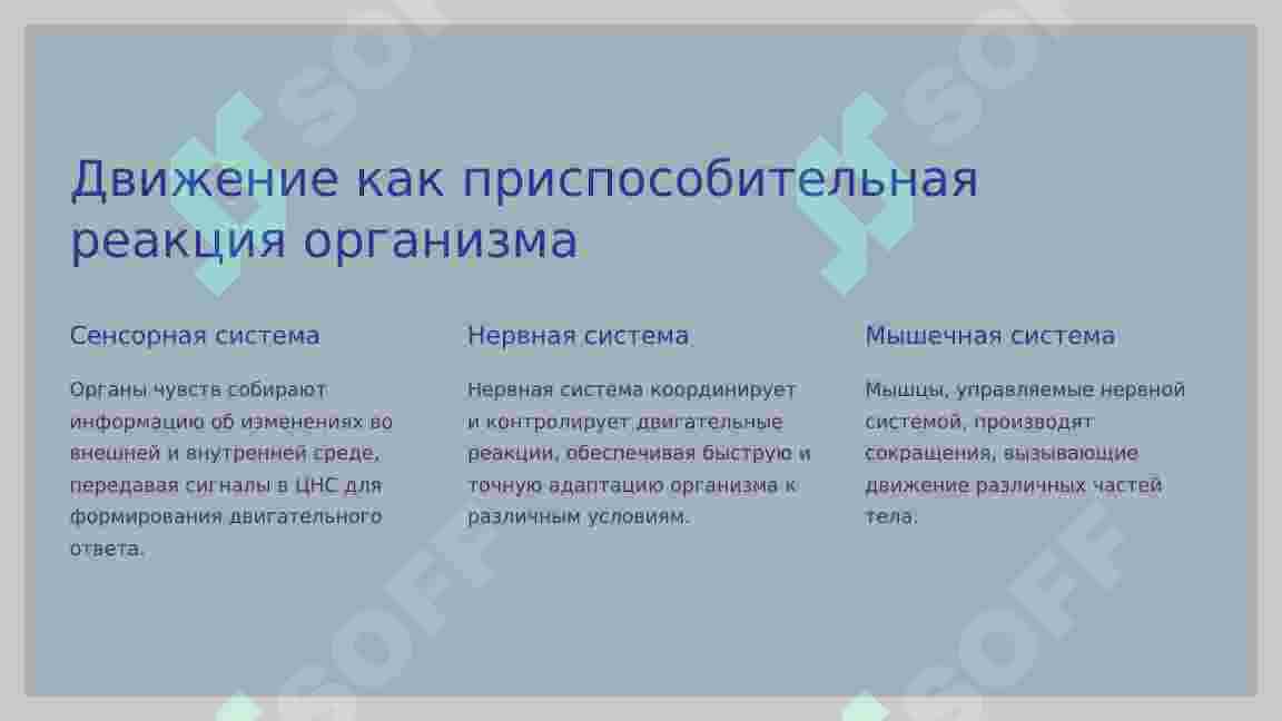 ФУНКЦИИ ОПОРНО – ДВИГАТЕЛЬНОЙ СИСТЕМЫ. 3