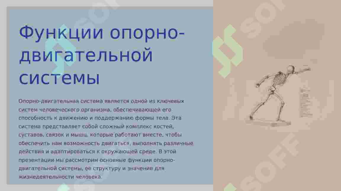 ФУНКЦИИ ОПОРНО – ДВИГАТЕЛЬНОЙ СИСТЕМЫ. 8