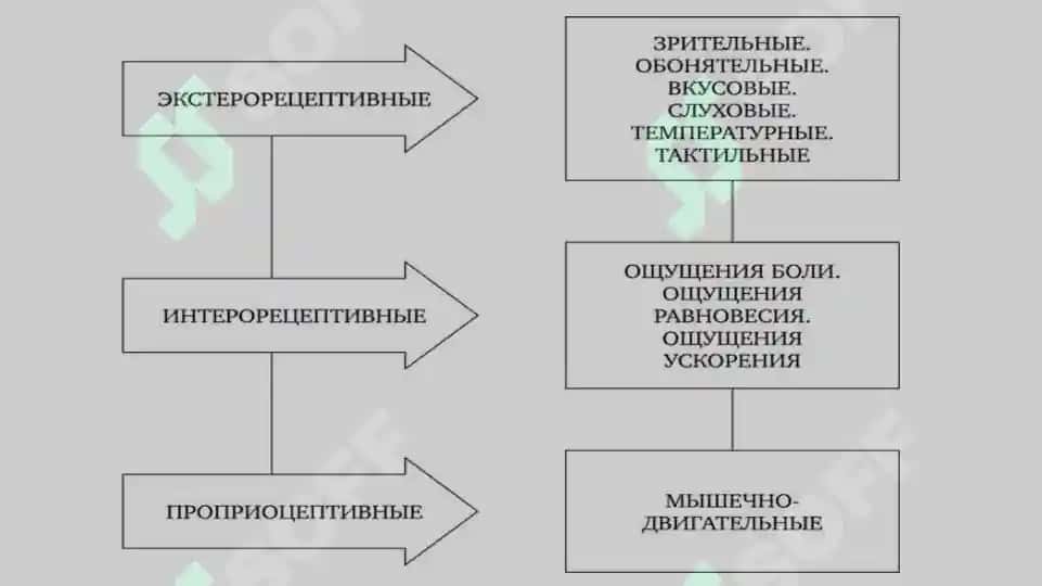 Психология когнитивных процессов 6