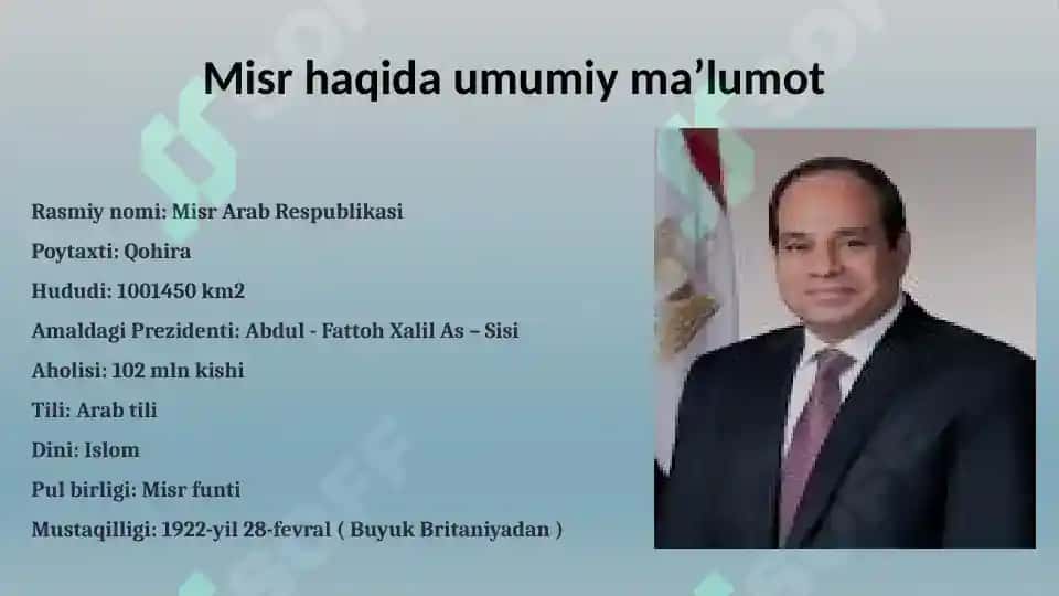 Misr ijtimoiy siyosati 2