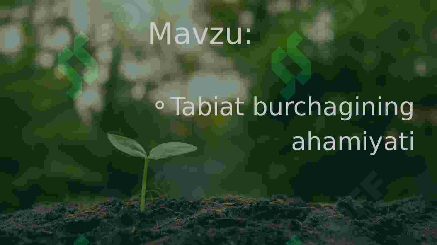 Tabiat burchagining ahamiyati 2
