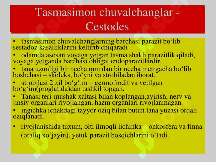 Tasmasimon chuvalchanglar 2