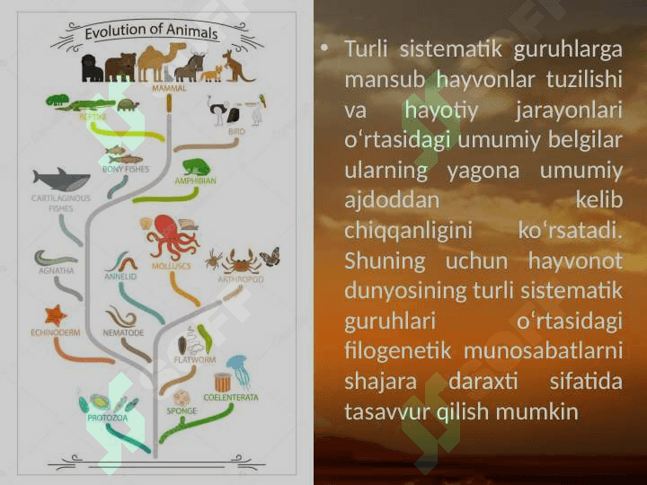 Hayvonot dunyosidagi evolutsion o‘zgarishlar. 3
