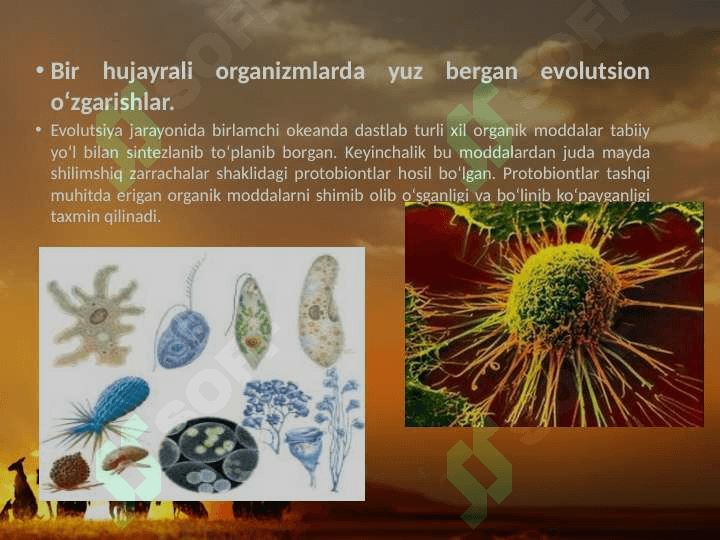 Hayvonot dunyosidagi evolutsion o‘zgarishlar. 4