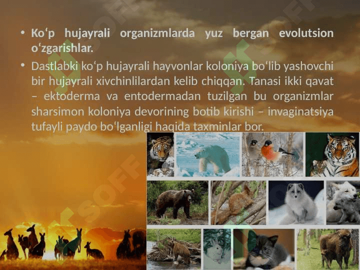 Hayvonot dunyosidagi evolutsion o‘zgarishlar. 5