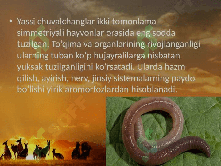 Hayvonot dunyosidagi evolutsion o‘zgarishlar. 7