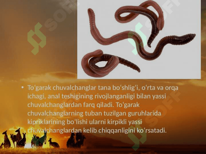 Hayvonot dunyosidagi evolutsion o‘zgarishlar. 8