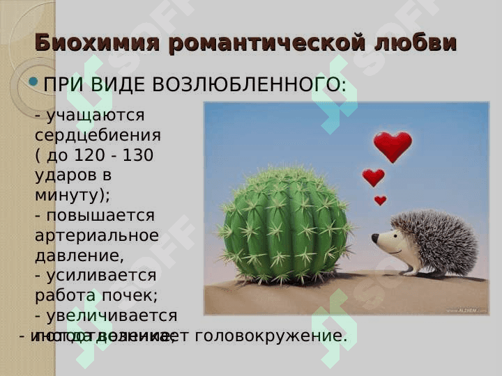Психология любви 8