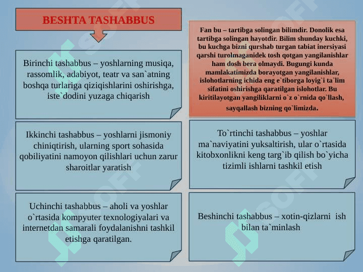 Zamburug`lar dunyosi 3