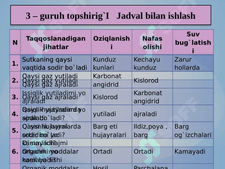 Zamburug`lar dunyosi 8