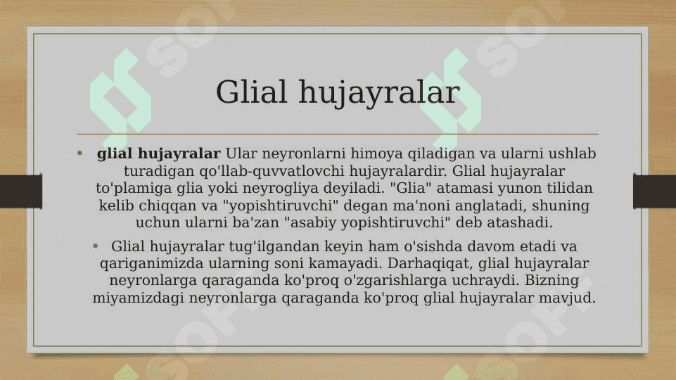 Glial hujayralarning vazifasi 2
