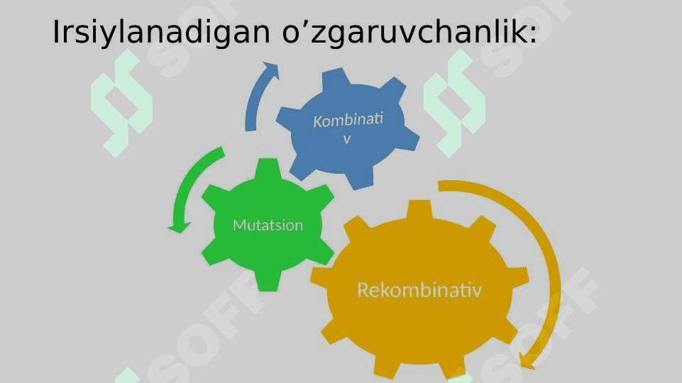 Genetik materialning o’zgaruvchanligi. O’zgaruvchanlik va uning xillari 4