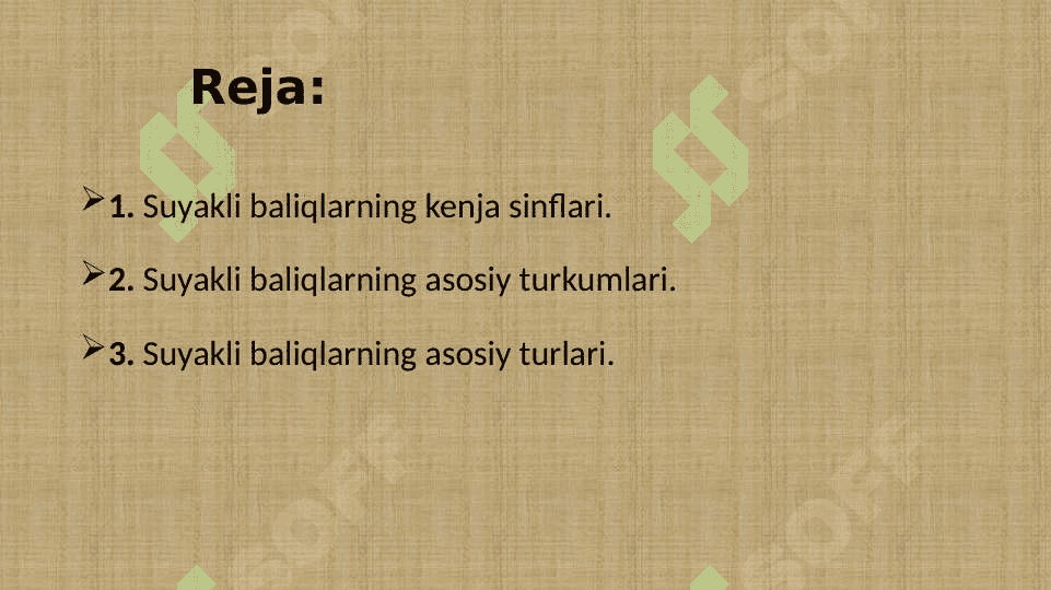Suyakli baliqlarning sistematikasi 2