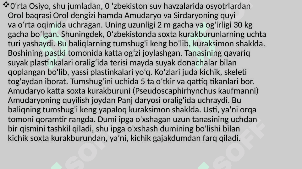Suyakli baliqlarning sistematikasi 7