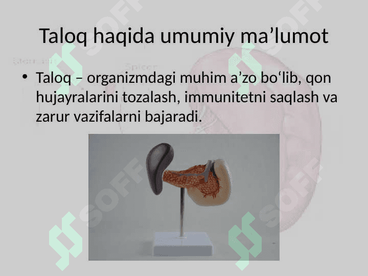 Taloq funksiyalari 3