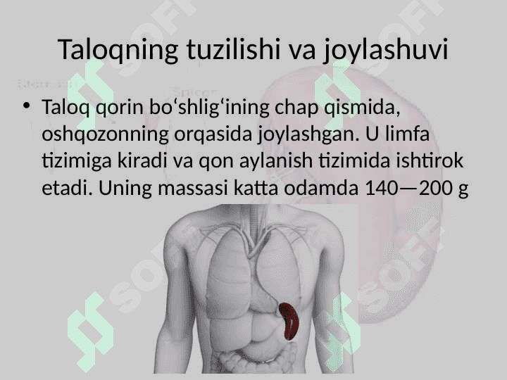 Taloq funksiyalari 4