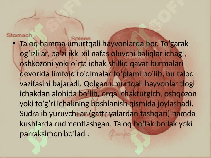 Taloq funksiyalari 5