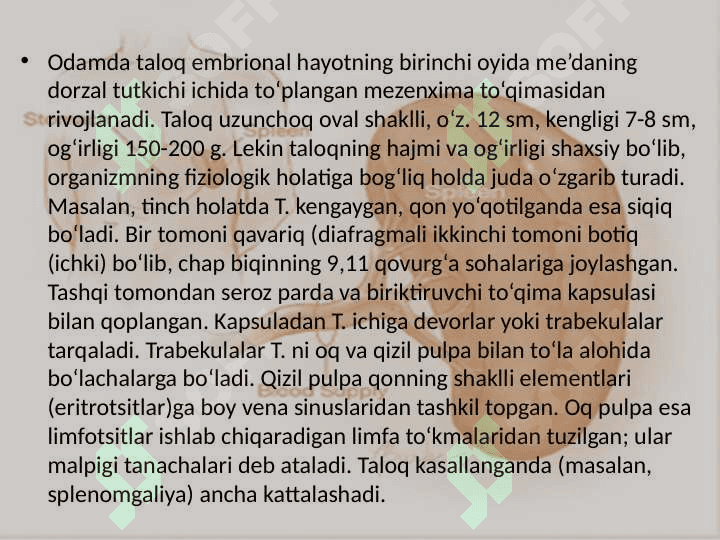 Taloq funksiyalari 6