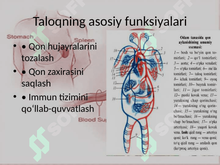 Taloq funksiyalari 7