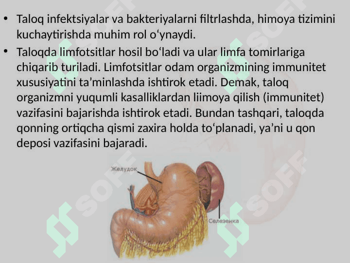 Taloq funksiyalari 8