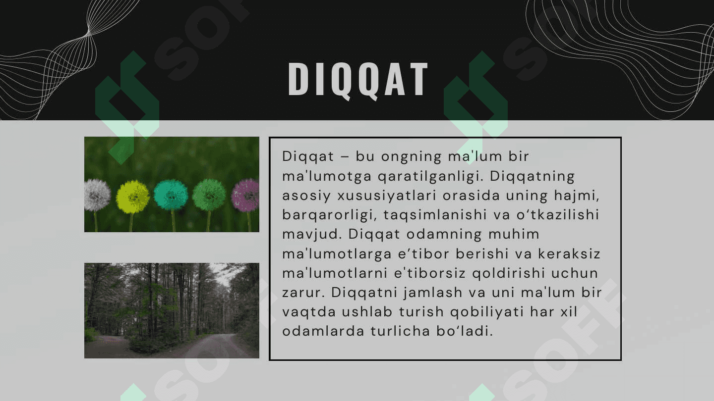 BILISH JARAYONLARI. SEZGI, IDROK. DIQQAT VA XOTIRANING PSIXOLOGIK XUSUSIYATLARI 5