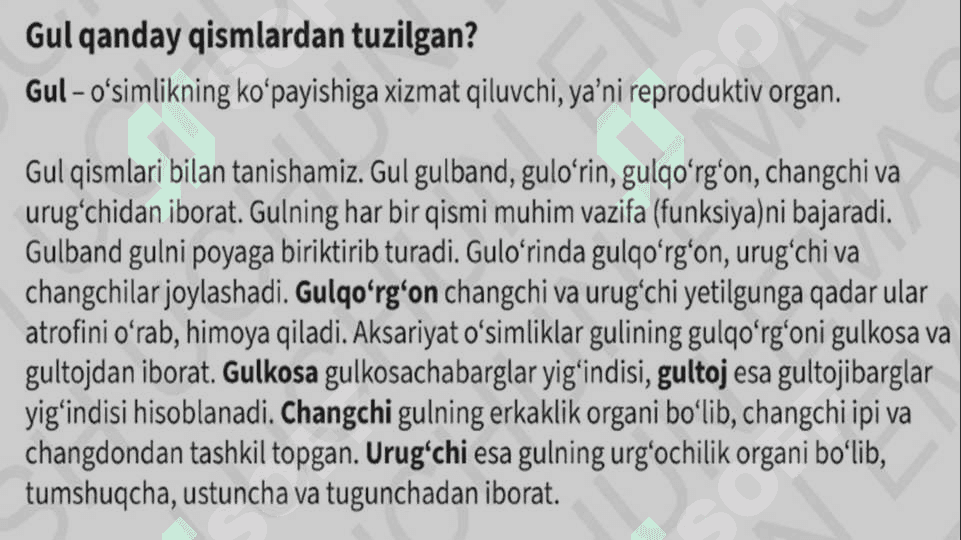 Gul va uning tuzilishi. 2