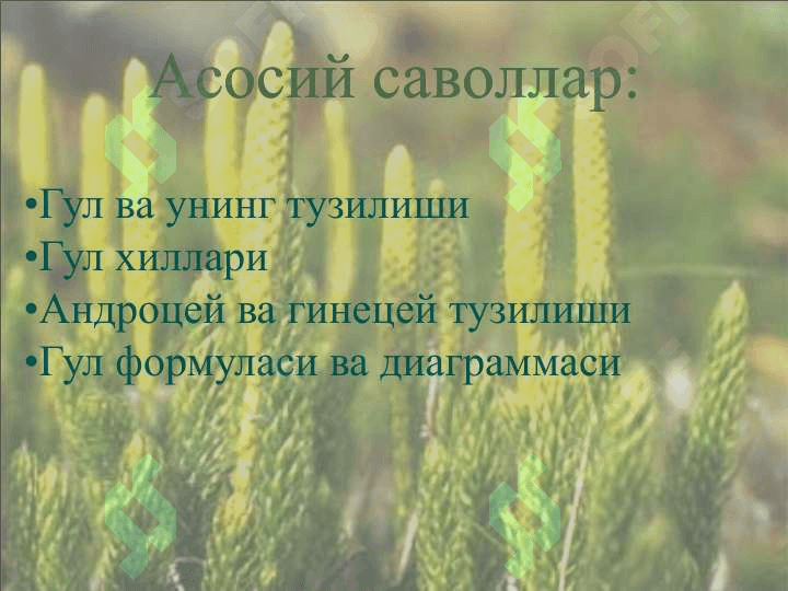 Gulning tuzlishi v funksiyasi 2