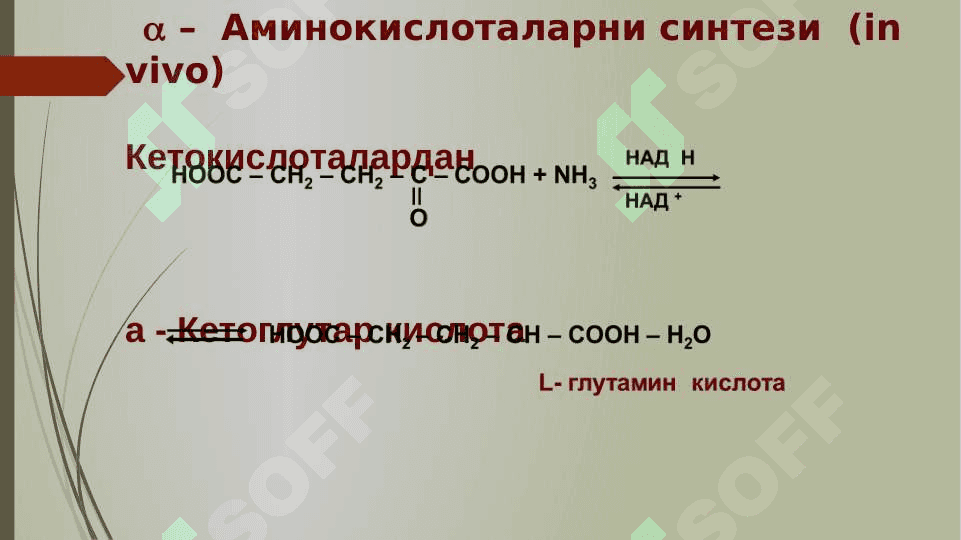 a-AMINOKISLOTALAR. PEPTIDLAR VA OQSILLAR 5