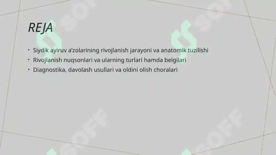 Siydik ayiruv a’zolarining rivojlanishi va turlari 2
