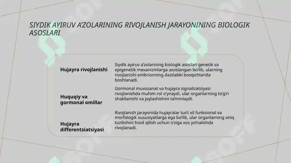Siydik ayiruv a’zolarining rivojlanishi va turlari 3
