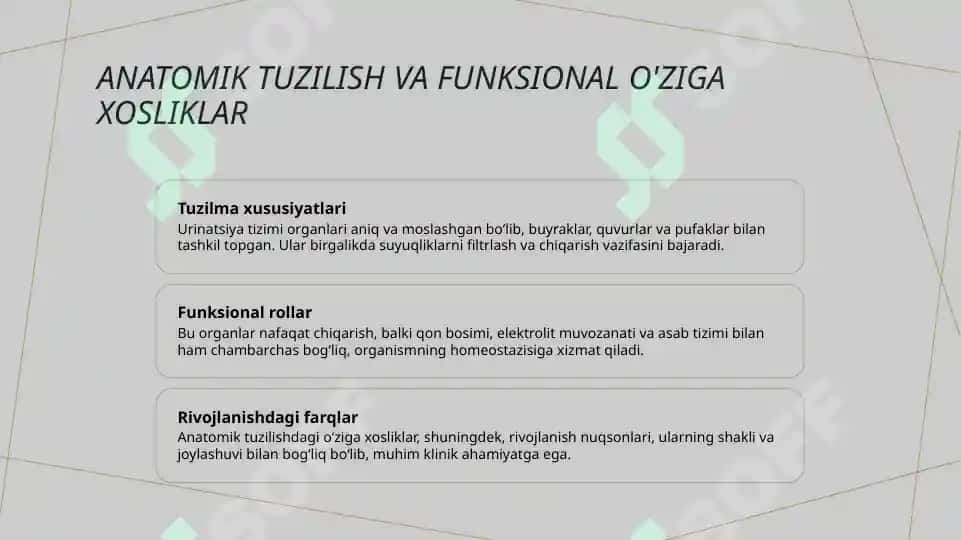 Siydik ayiruv a’zolarining rivojlanishi va turlari 4