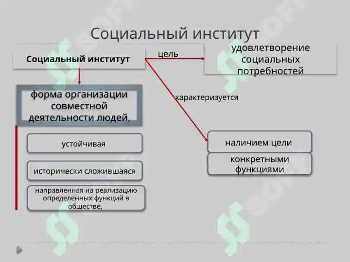 Социальные институты и их функции 4