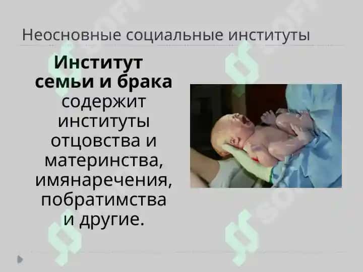 Социальные институты и их функции 7