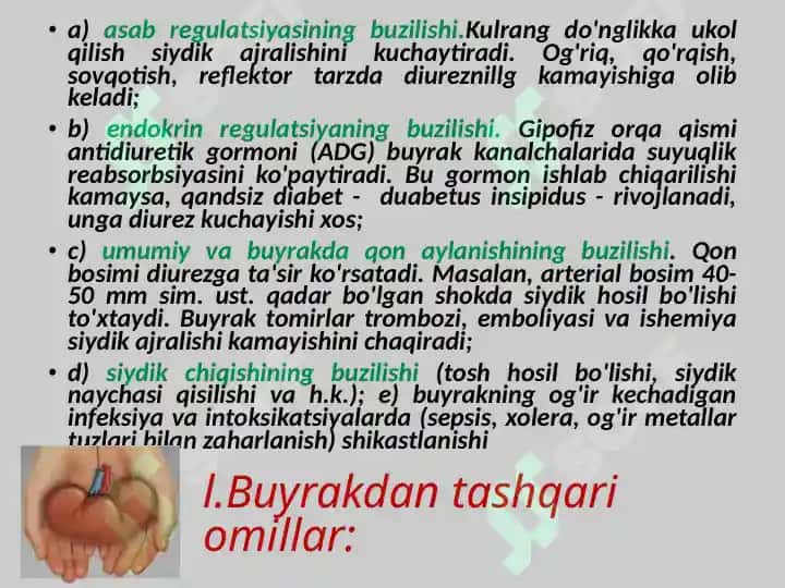 BUYRAK TIZIMI PATOFIZIOLOGIYASI 4